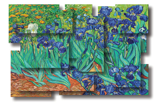 IRISES