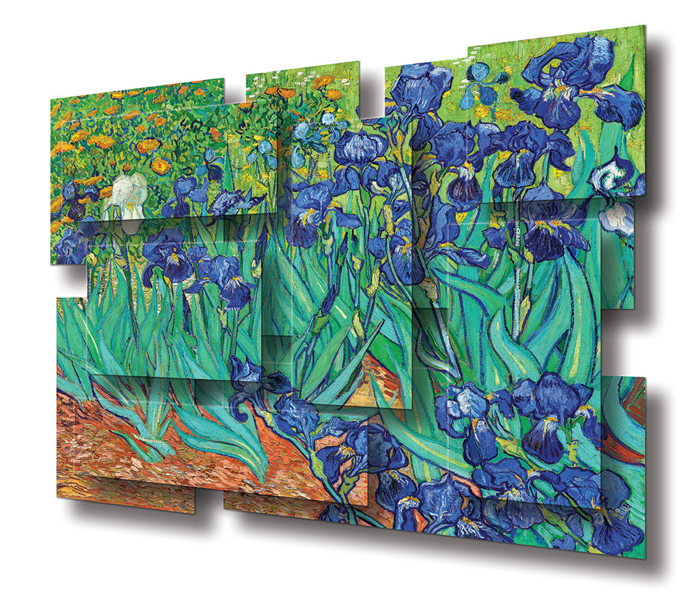 IRISES