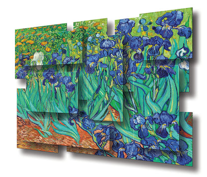 IRISES
