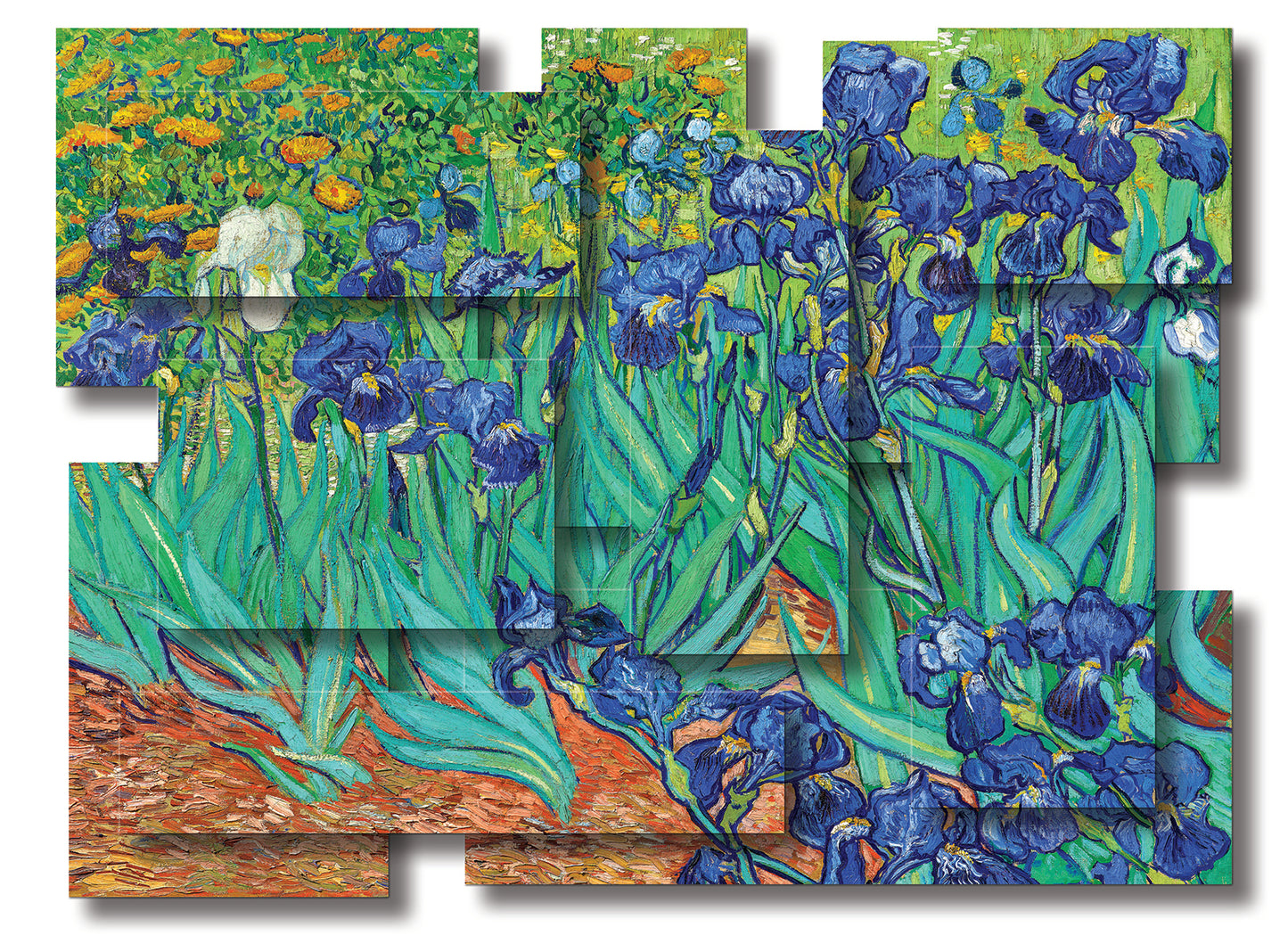 IRISES