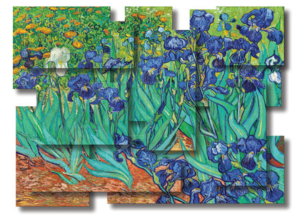 IRISES