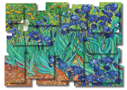 IRISES