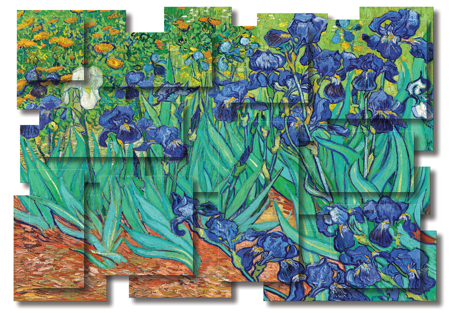 IRISES