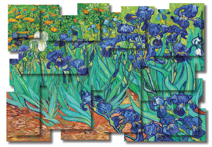 IRISES